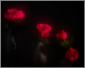 Mystic_Roses_05.jpg