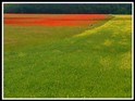 Sommer_480x320.jpg